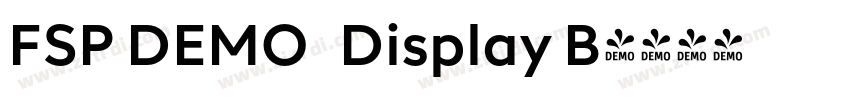 FSP DEMO   Display B字体转换